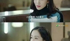 吃瓜小说娱乐圈柳小八结局,娱乐圈的逆袭与蜕变